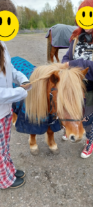 kuvassa poni kahden taluttajan kanssa